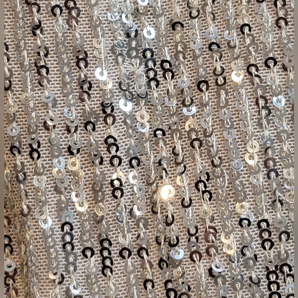 NWT Eliza J Sequin Long Sleeve Cocktail Dress Silver Blouson Size 6 - Picture 14 of 14